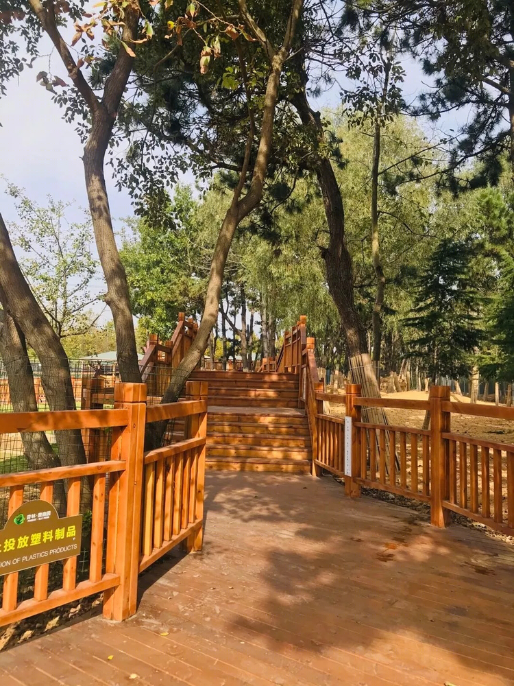 日照森林公园麋鹿园 | 木栈道串联的生态景观