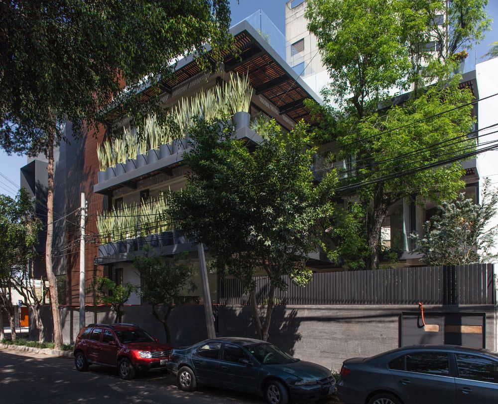 FEBO 21 别墅建筑——树木与建筑的和谐共生
