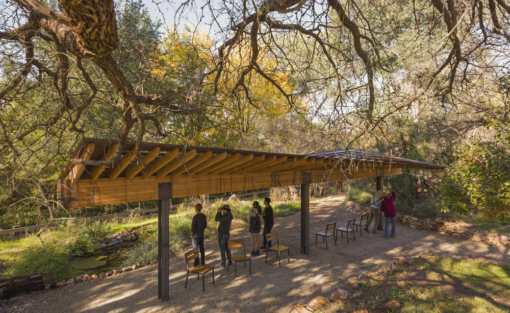 蝶舞蜂歌 | Tucson Audubon’s Paton Center 自然观景区