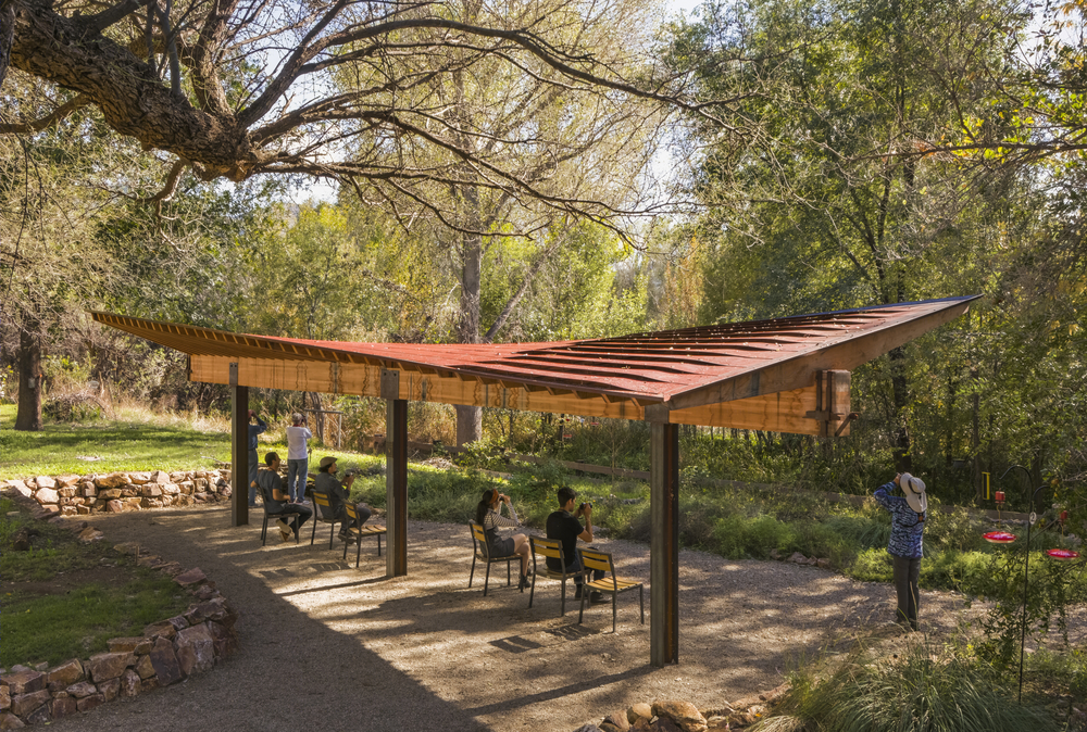 蝶舞蜂歌 | Tucson Audubon’s Paton Center 自然观景区