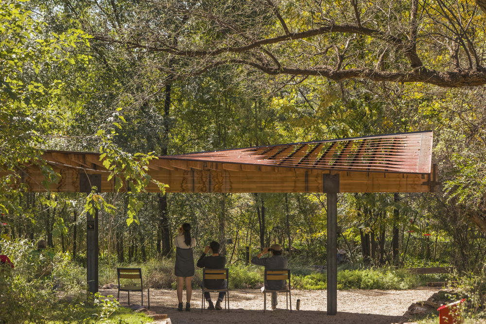 蝶舞蜂歌 | Tucson Audubon’s Paton Center 自然观景区