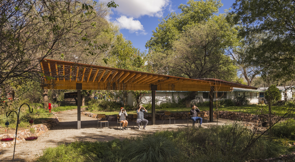 蝶舞蜂歌 | Tucson Audubon’s Paton Center 自然观景区