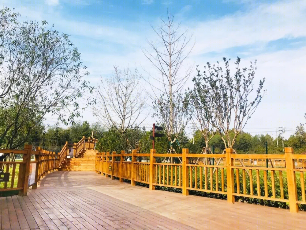 日照森林公园麋鹿园 | 木栈道串联的生态景观