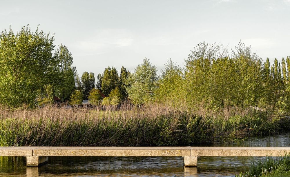 Ringdijkpark Haarlemmermeer | 生态景观与经济活动和谐共存的典范