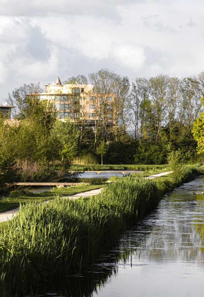Ringdijkpark Haarlemmermeer | 生态景观与经济活动和谐共存的典范