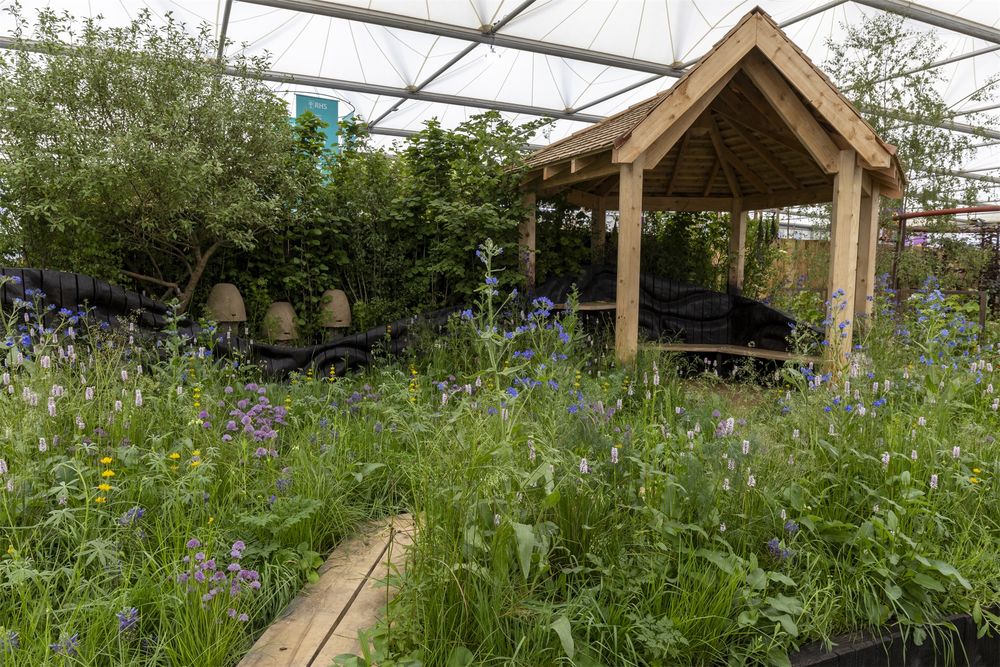 2024切尔西花园展获奖作品 / Royal Horticultural Society