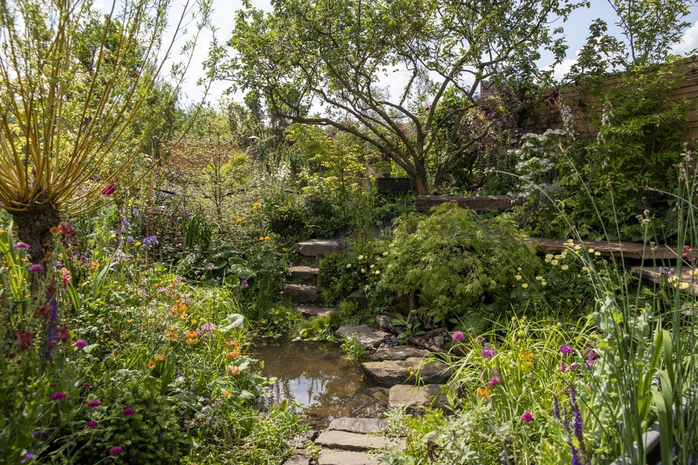 2024切尔西花园展获奖作品 / Royal Horticultural Society