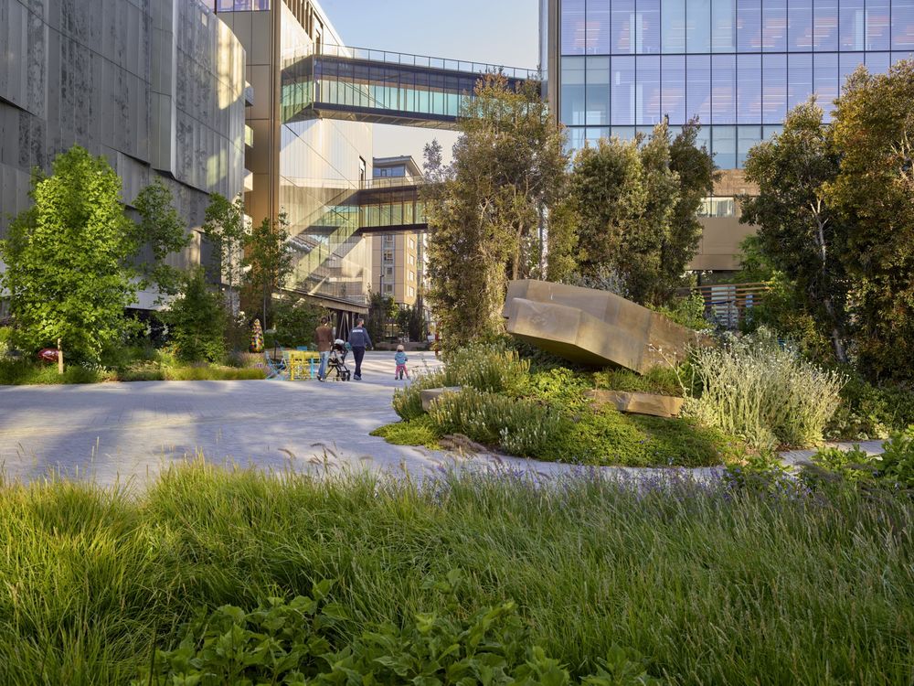 旧金山Uber总部大楼景观，是消防通道亦是公园 / Surfacedesign, Inc.