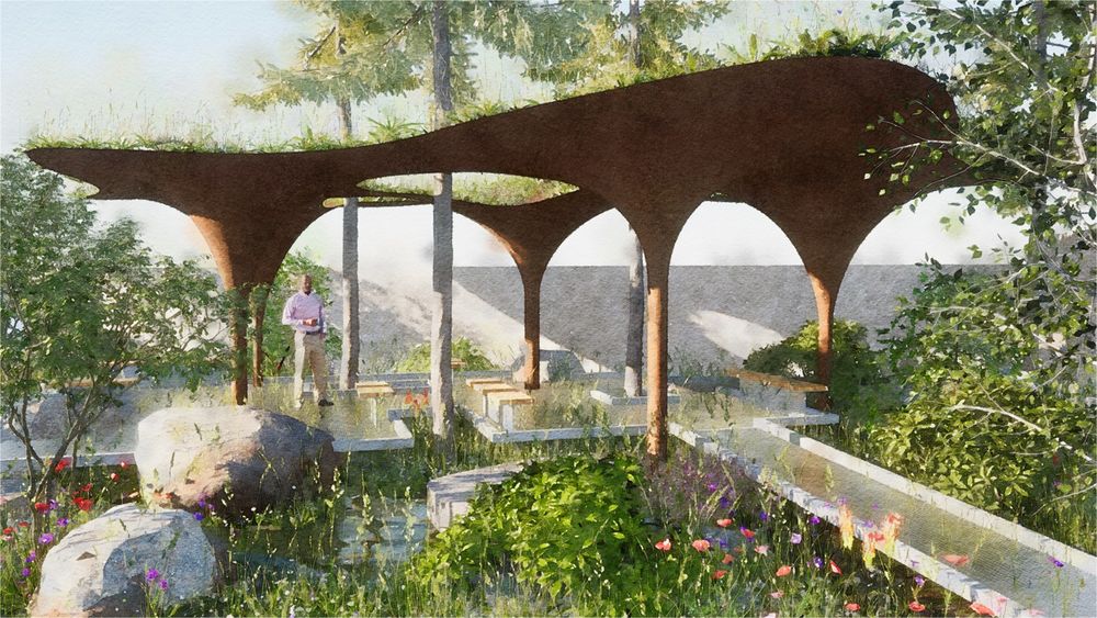 2024切尔西花园展获奖作品 / Royal Horticultural Society