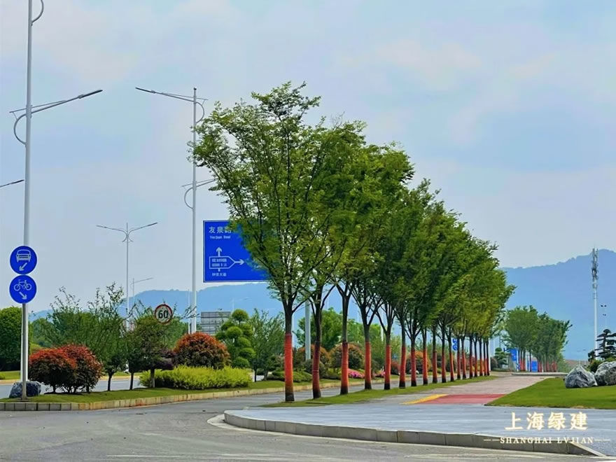 新余市钟灵大道景观提升 | 唯美大气的欧式花海景观