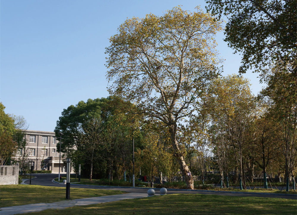 合肥黄麓师范学校景观