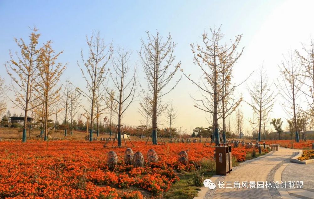 北国采煤塌陷区的绿色变身——邢台园博园项目规划设计