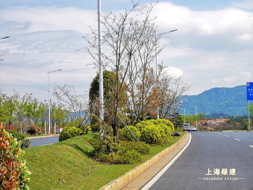 新余市钟灵大道景观提升 | 唯美大气的欧式花海景观