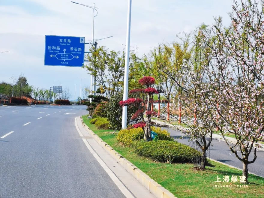 新余市钟灵大道景观提升 | 唯美大气的欧式花海景观