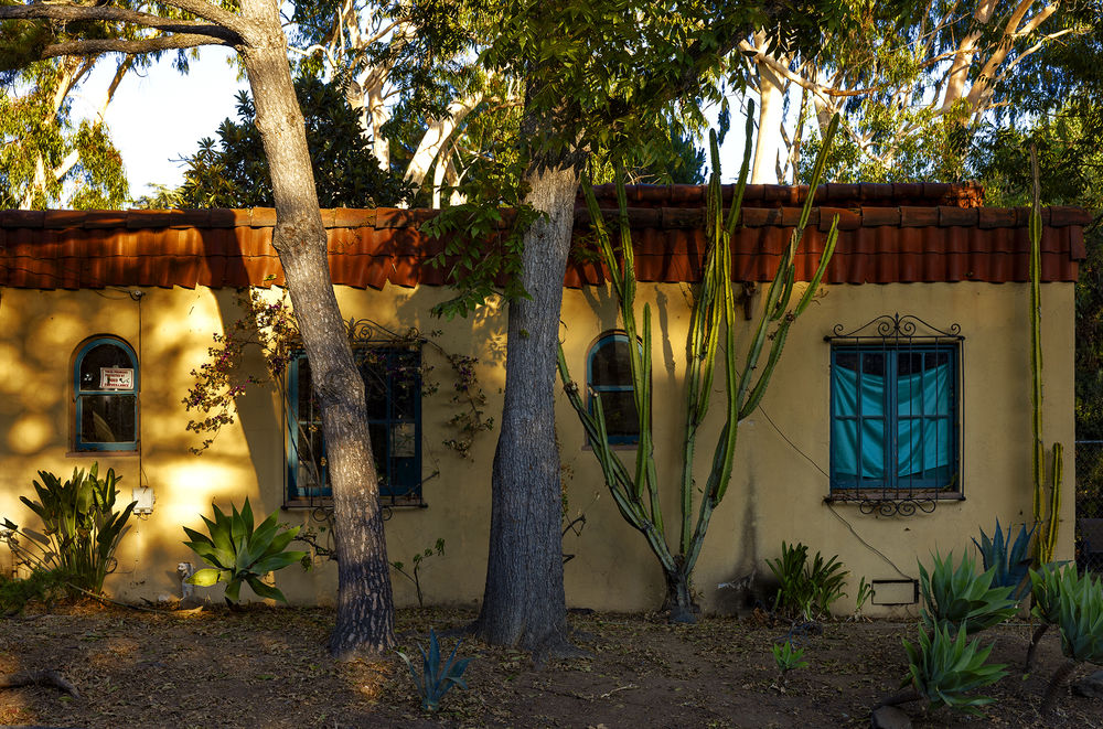 Trees and the Homes They Shade: 4