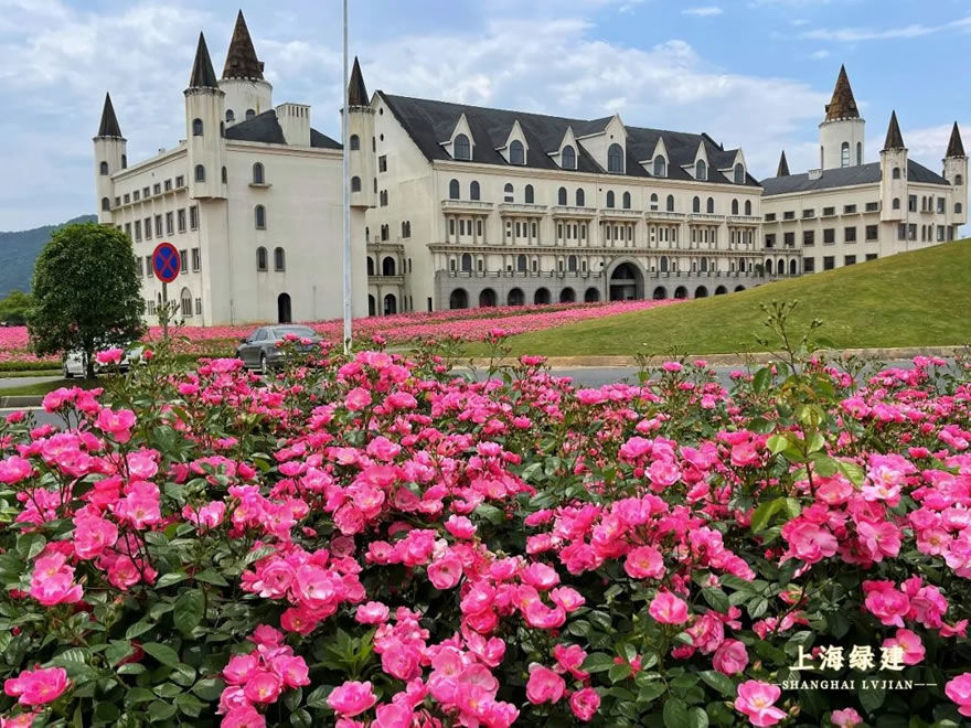 新余市钟灵大道景观提升 | 唯美大气的欧式花海景观