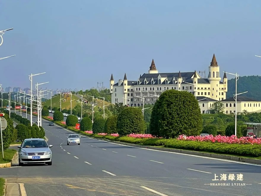 新余市钟灵大道景观提升 | 唯美大气的欧式花海景观