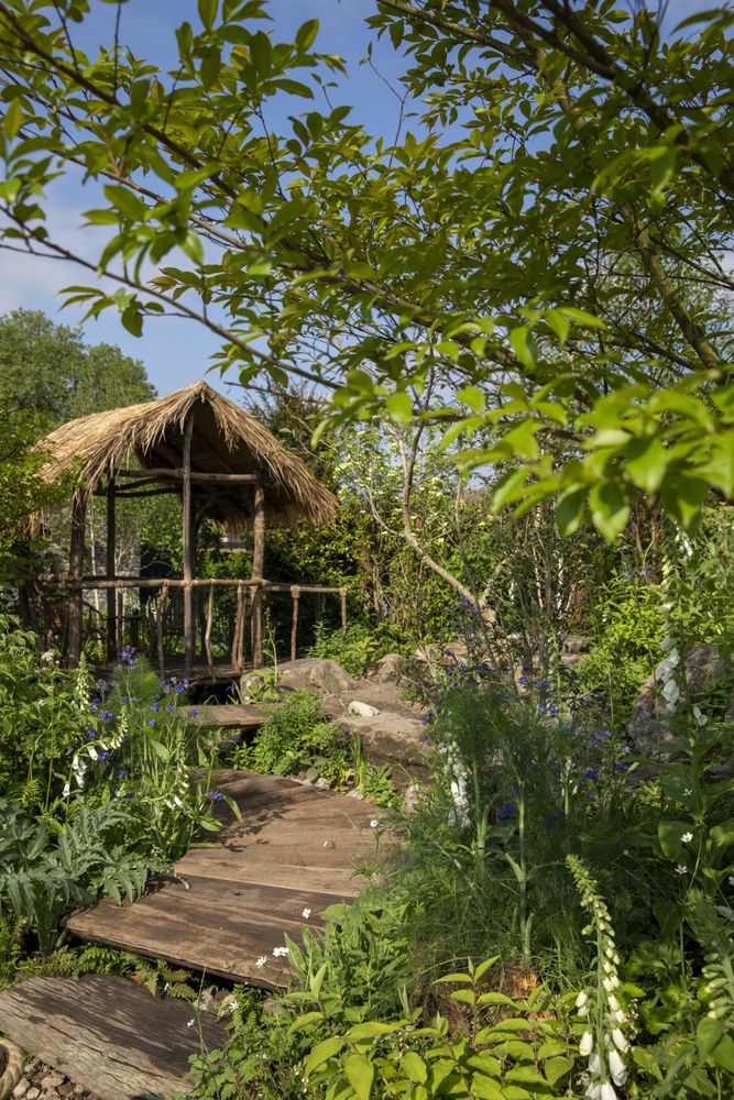 2024切尔西花园展获奖作品 / Royal Horticultural Society