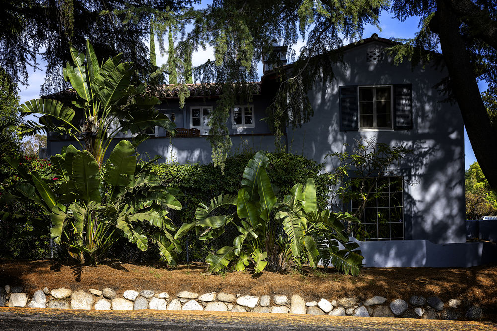 Trees and the Homes They Shade: 4