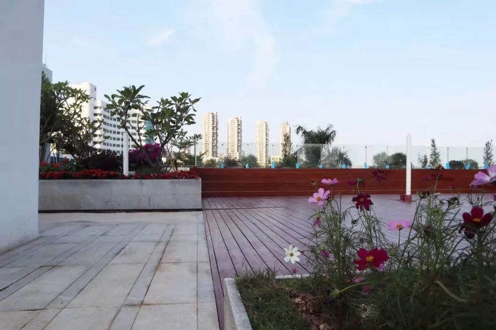 珠海围产医学中心 | 海景屋顶花园的温馨设计