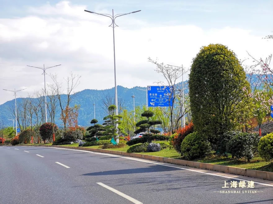 新余市钟灵大道景观提升 | 唯美大气的欧式花海景观
