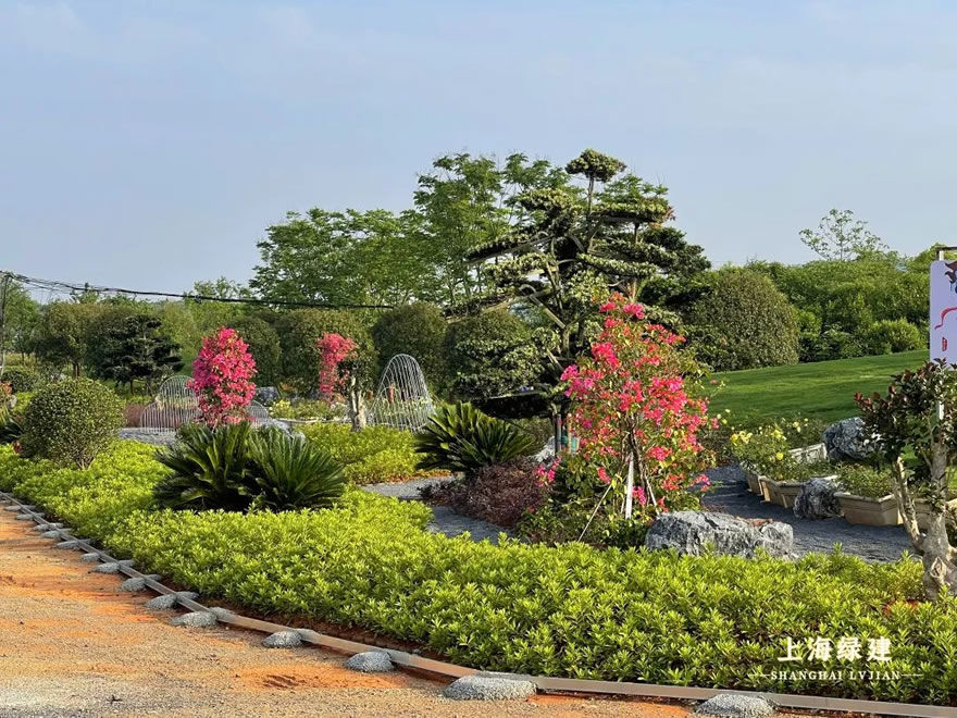 新余市钟灵大道景观提升 | 唯美大气的欧式花海景观
