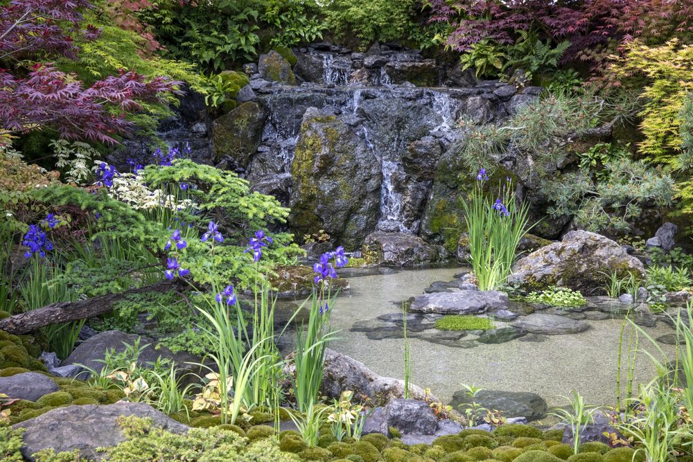 2024切尔西花园展获奖作品 / Royal Horticultural Society