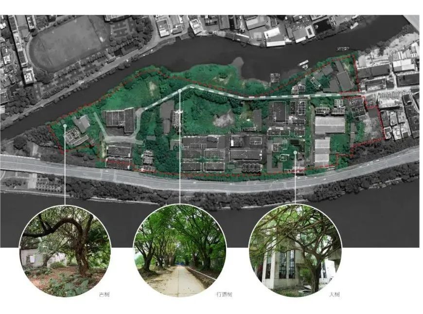 东莞鳒鱼洲文创园 | 工业遗址的惊艳转身