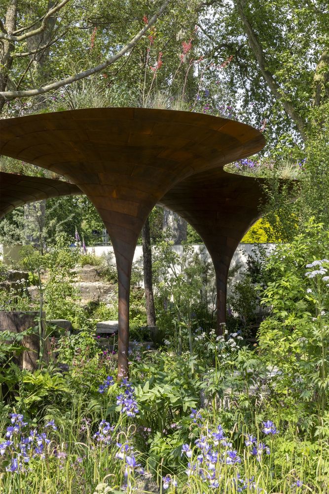 2024切尔西花园展获奖作品 / Royal Horticultural Society
