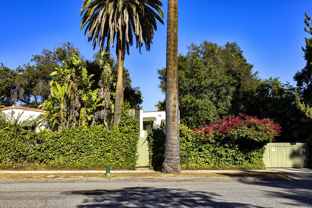 Trees and the Homes They Shade: 4