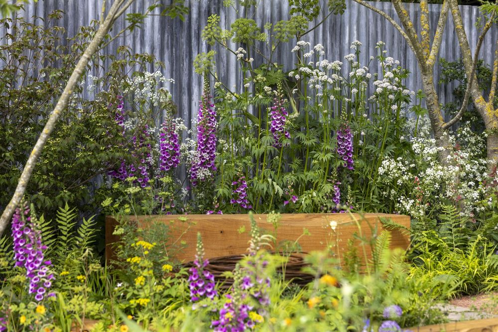 2024切尔西花园展获奖作品 / Royal Horticultural Society