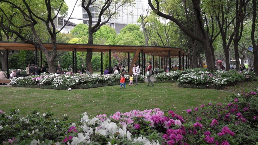 绿意盎然的城市画卷 | 东湖花园绿地