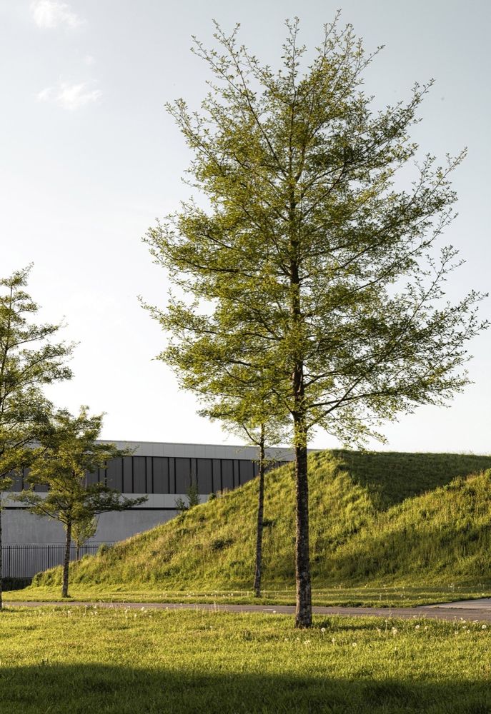Ringdijkpark Haarlemmermeer | 生态景观与经济活动和谐共存的典范