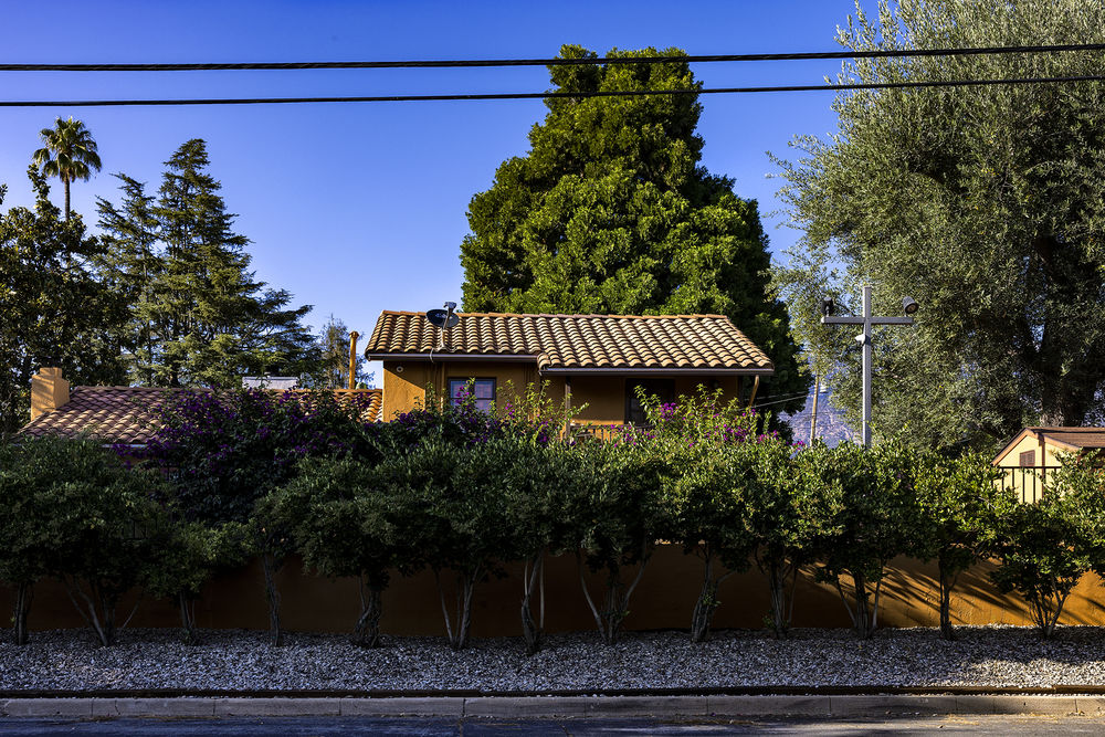 Trees and the Homes They Shade: 4