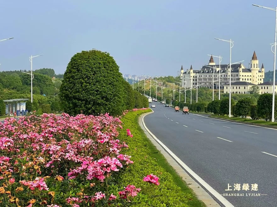 新余市钟灵大道景观提升 | 唯美大气的欧式花海景观
