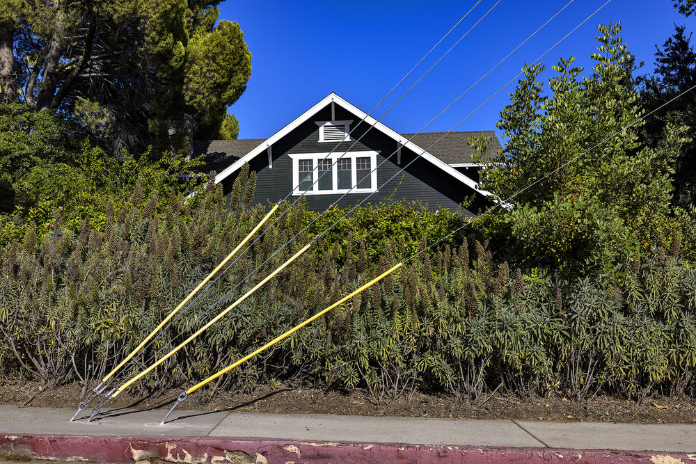 Trees and the Homes They Shade: 4