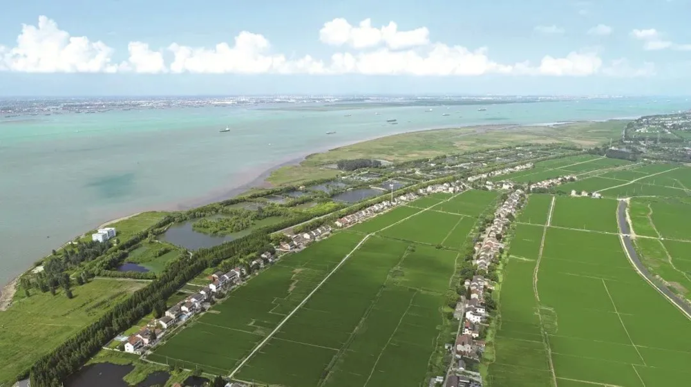 西咸新区渭河湿地公园 | 水生态修复与地域文化融合的典范