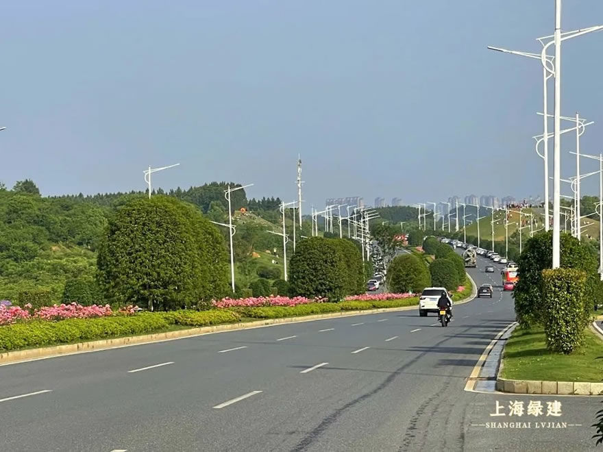 新余市钟灵大道景观提升 | 唯美大气的欧式花海景观