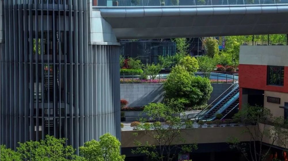 虹桥天地 | 繁华都市中的台地花园