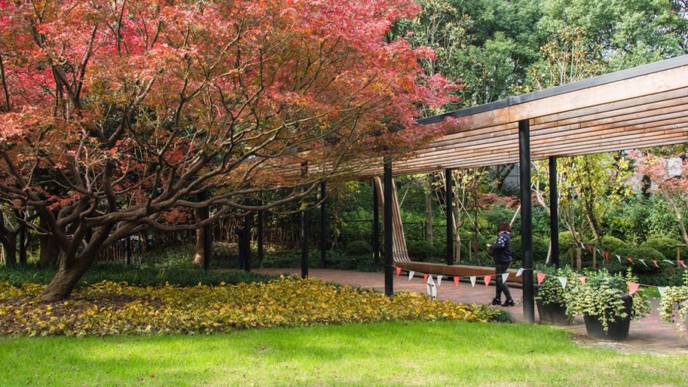 绿意盎然的城市画卷 | 东湖花园绿地