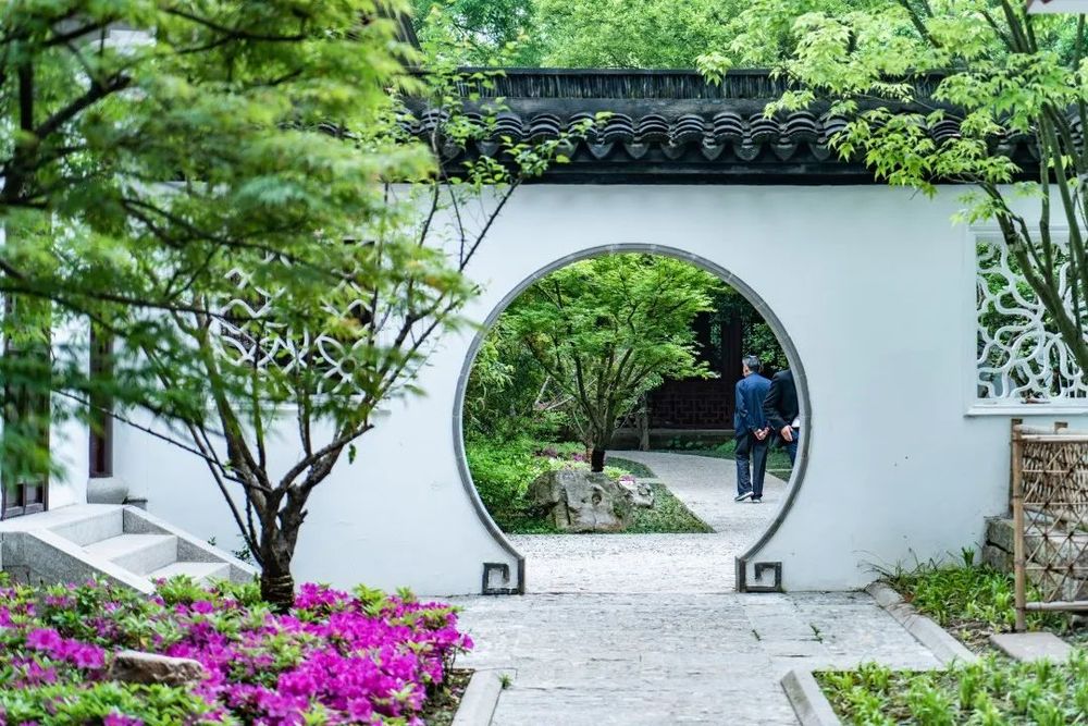 上海交通大学蔷薇园 | 低成本园艺景观典范