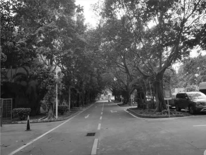 广州“红双喜”烟厂旧址改造，不只是科技园区 | 1906科技园扬韬广场