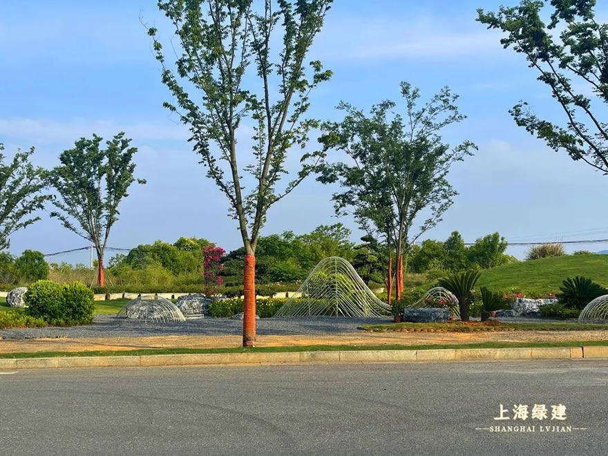 新余市钟灵大道景观提升 | 唯美大气的欧式花海景观