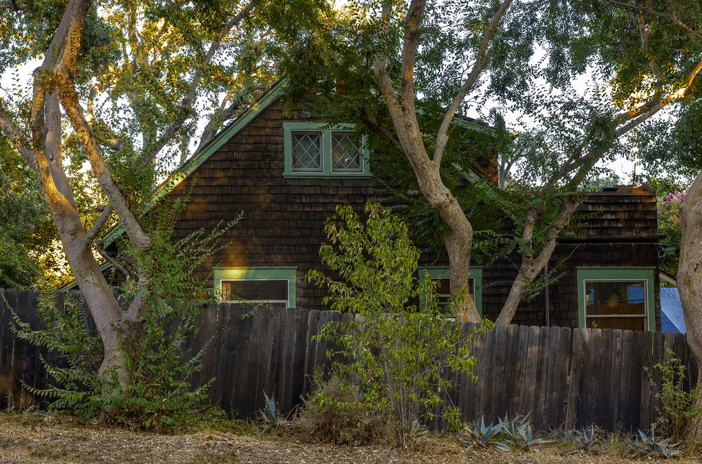 Trees and the Homes They Shade: 4