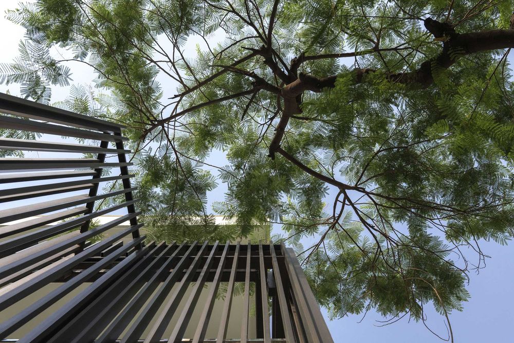 Artful Abode in New Delhi by Mathew & Ghosh Architects and Rajiv Saini + Associates.