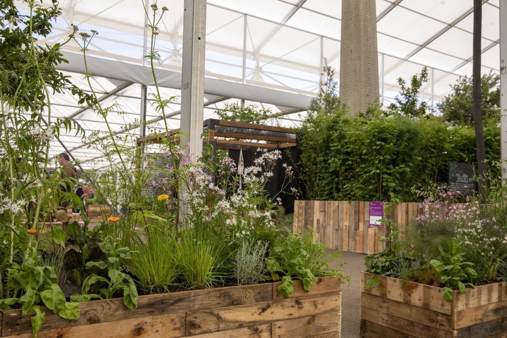 2024切尔西花园展获奖作品 / Royal Horticultural Society