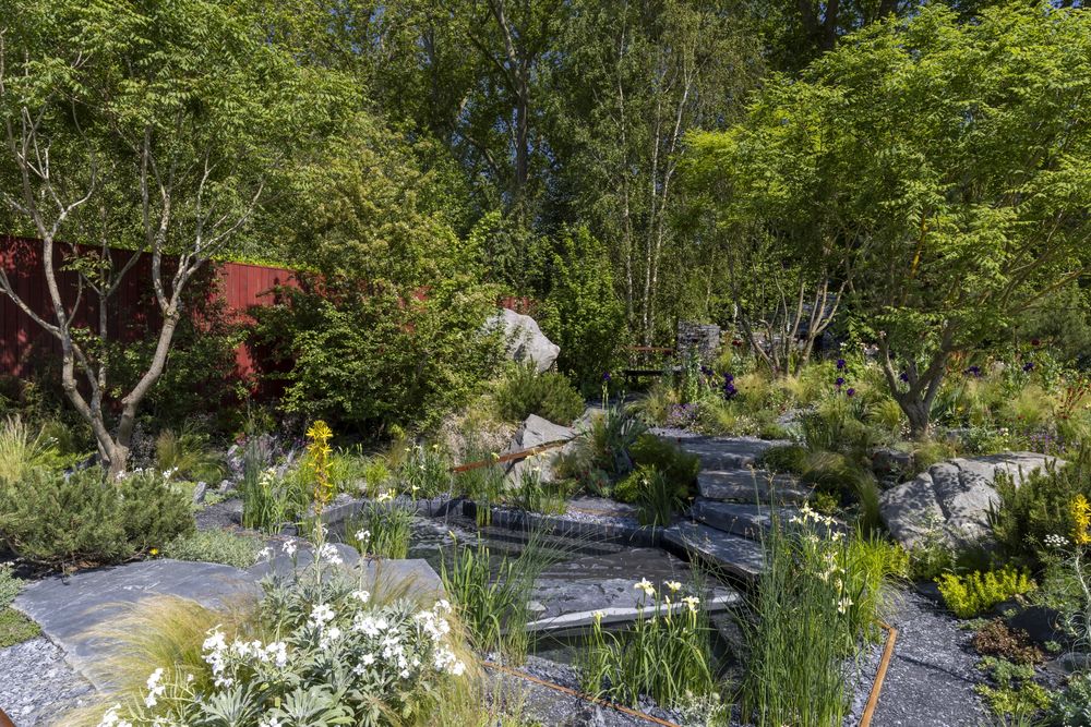 2024切尔西花园展获奖作品 / Royal Horticultural Society