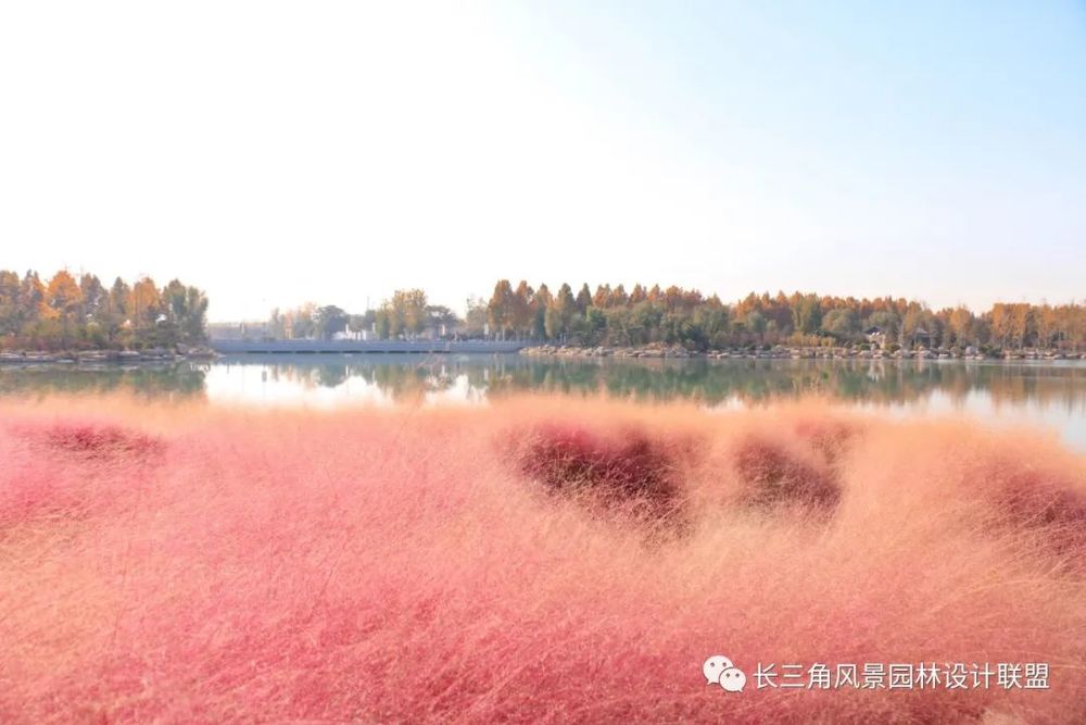 北国采煤塌陷区的绿色变身——邢台园博园项目规划设计