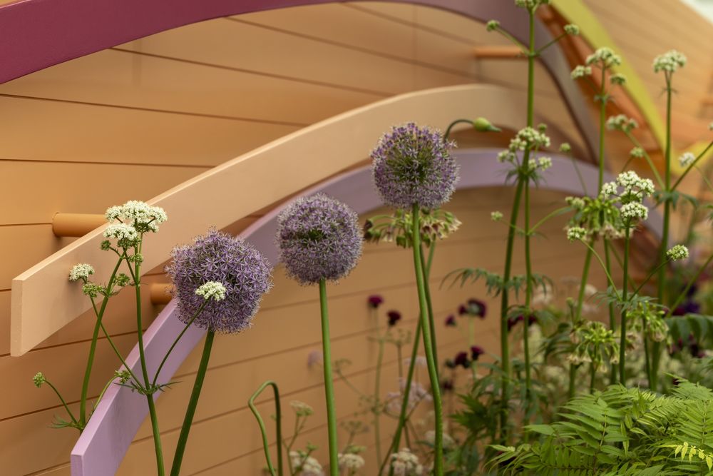 2024切尔西花园展获奖作品 / Royal Horticultural Society