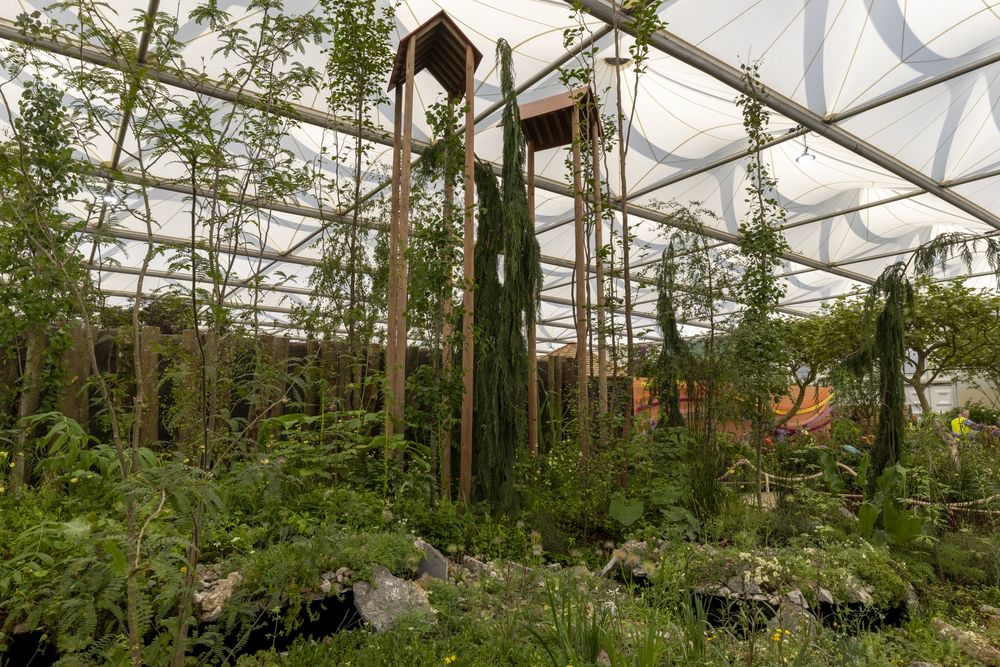 2024切尔西花园展获奖作品 / Royal Horticultural Society